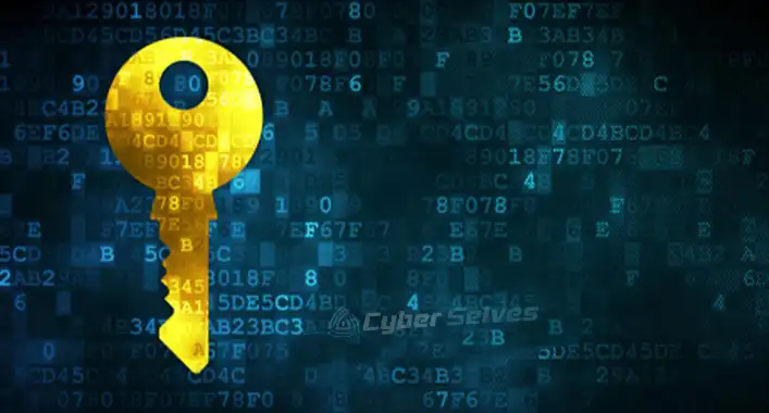 What Is a Cryptographic Key