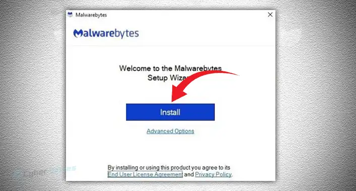 How to Install Malwarebytes on a Flash Drive