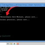 How To Run Malwarebytes From Command Prompt