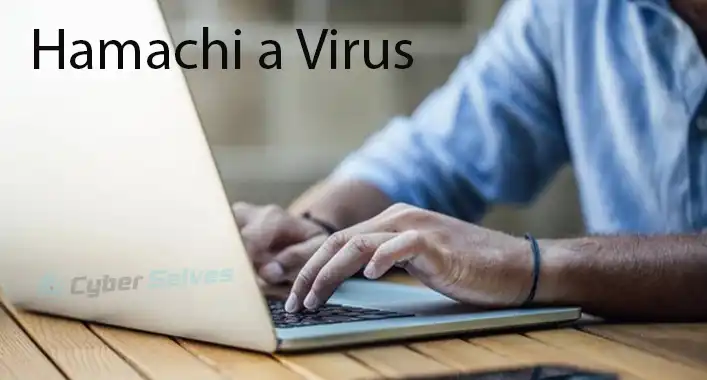 Is Hamachi a Virus