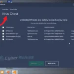 How to Remove File from Avast Chest